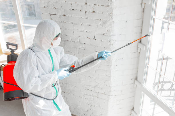 Best Residential Mold Inspection & Testing  in USA